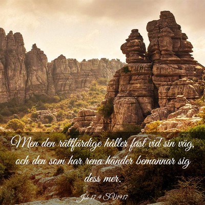 Picture 03 - Job 17:9 SV1917 - Men den rättfärdige håller fast vid sin väg, - Bible Verse Picture