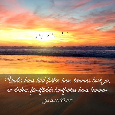 Picture 03 - Job 18:13 SV1917 - Under hans hud frätas hans lemmar bort, ja, av - Bible Verse Picture