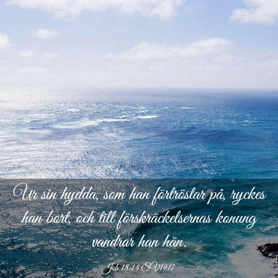 Picture 03 - Job 18:14 SV1917 - Ur sin hydda, som han förtröstar på, ryckes - Bible Verse Picture