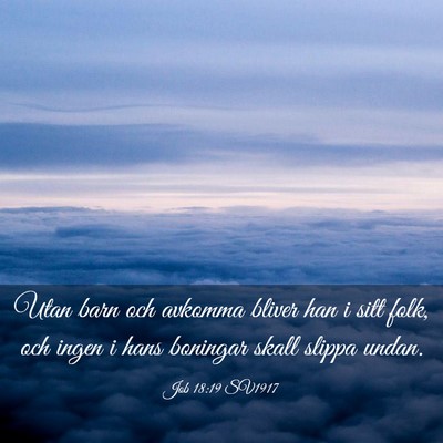 Picture 03 - Job 18:19 SV1917 - Utan barn och avkomma bliver han i sitt folk, och - Bible Verse Picture