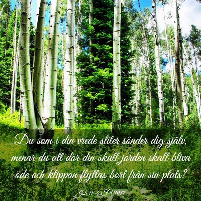 Picture 03 - Job 18:4 SV1917 - Du som i din vrede sliter sönder dig själv, - Bible Verse Picture