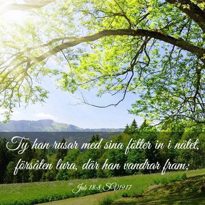Picture 03 - Job 18:8 SV1917 - Ty han rusar med sina fötter in i nätet, - Bible Verse Picture