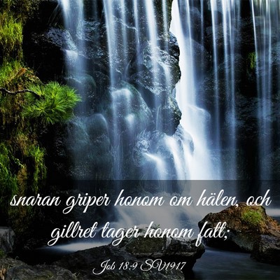 Picture 03 - Job 18:9 SV1917 - snaran griper honom om hälen, och gillret tager - Bible Verse Picture