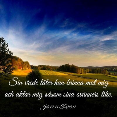 Picture 03 - Job 19:11 SV1917 - Sin vrede låter han brinna mot mig och aktar mig - Bible Verse Picture