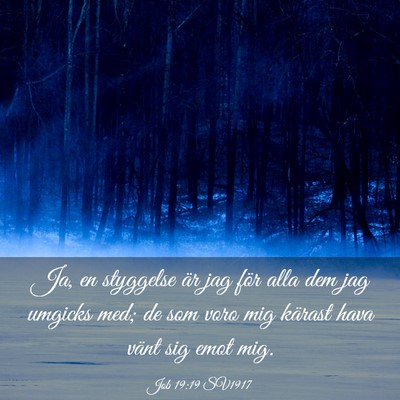 Picture 03 - Job 19:19 SV1917 - Ja, en styggelse är jag för alla dem jag - Bible Verse Picture