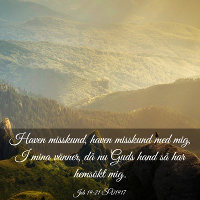Picture 03 - Job 19:21 SV1917 - Haven misskund, haven misskund med mig, I mina - Bible Verse Picture