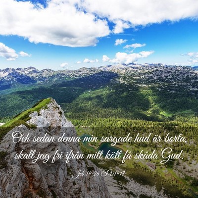 Picture 03 - Job 19:26 SV1917 - Och sedan denna min sargade hud är borta, skall - Bible Verse Picture
