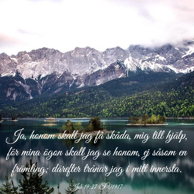 Picture 03 - Job 19:27 SV1917 - Ja, honom skall jag få skåda, mig till hjälp, - Bible Verse Picture