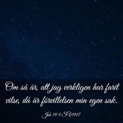 Picture 03 - Job 19:4 SV1917 - Om så är, att jag verkligen har farit vilse, - Bible Verse Picture