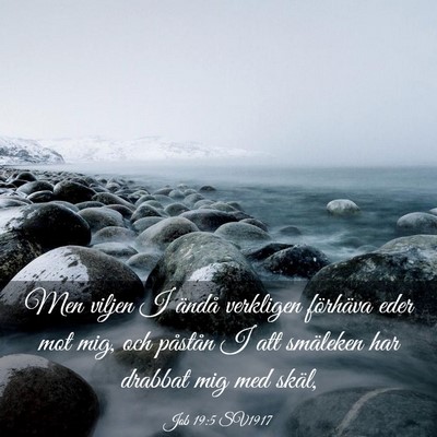 Picture 03 - Job 19:5 SV1917 - Men viljen I ändå verkligen förhäva eder mot - Bible Verse Picture