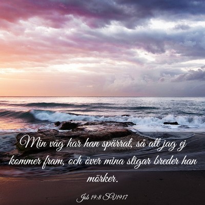 Picture 03 - Job 19:8 SV1917 - Min väg har han spärrat, så att jag ej kommer - Bible Verse Picture