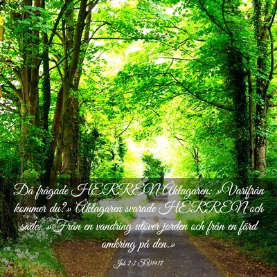 Picture 03 - Job 2:2 SV1917 - Då frågade HERREN Åklagaren: »Varifrån - Bible Verse Picture
