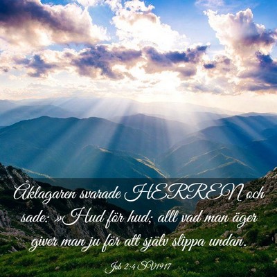 Picture 03 - Job 2:4 SV1917 - Åklagaren svarade HERREN och sade: »Hud för - Bible Verse Picture
