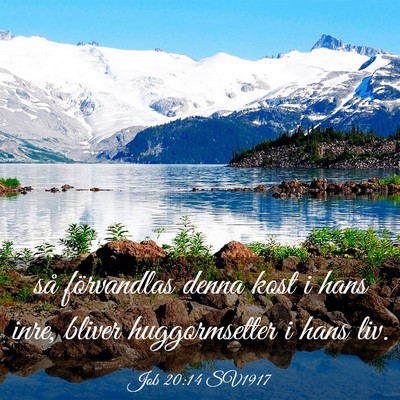 Picture 03 - Job 20:14 SV1917 - så förvandlas denna kost i hans inre, bliver - Bible Verse Picture