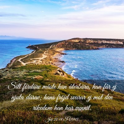 Picture 03 - Job 20:18 SV1917 - Sitt fördärv måste han återbära, han får ej - Bible Verse Picture