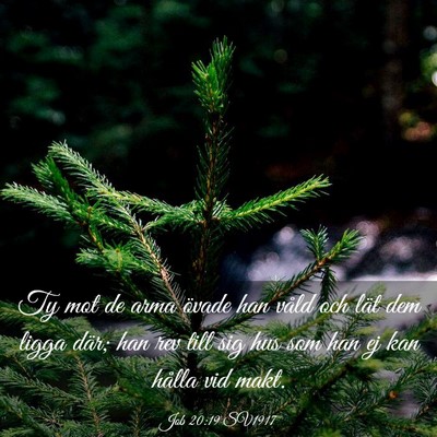Picture 03 - Job 20:19 SV1917 - Ty mot de arma övade han våld och lät dem - Bible Verse Picture