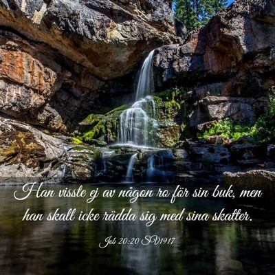 Picture 03 - Job 20:20 SV1917 - Han visste ej av någon ro för sin buk, men han - Bible Verse Picture