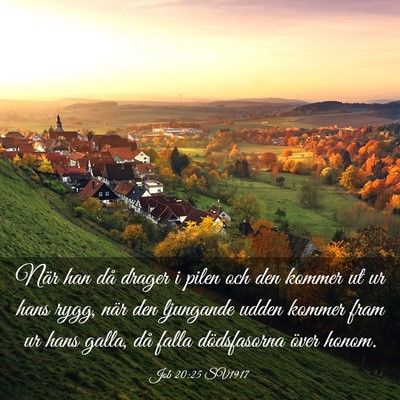 Picture 03 - Job 20:25 SV1917 - När han då drager i pilen och den kommer ut ur - Bible Verse Picture