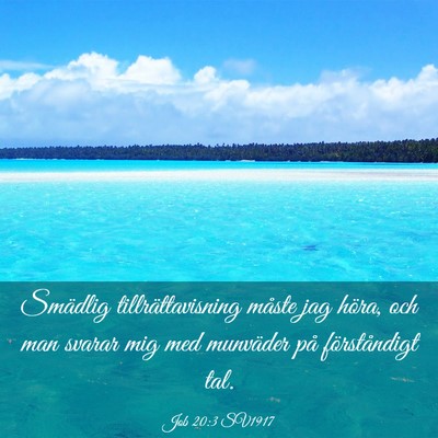 Picture 03 - Job 20:3 SV1917 - Smädlig tillrättavisning måste jag höra, och - Bible Verse Picture