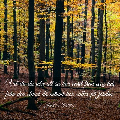 Picture 03 - Job 20:4 SV1917 - Vet du då icke att så har varit från evig tid, - Bible Verse Picture