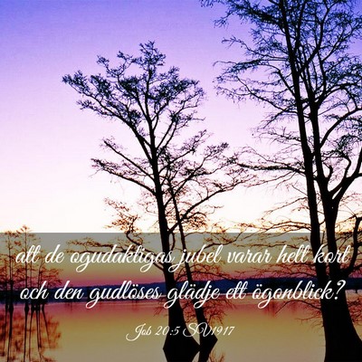 Picture 03 - Job 20:5 SV1917 - att de ogudaktigas jubel varar helt kort och den - Bible Verse Picture