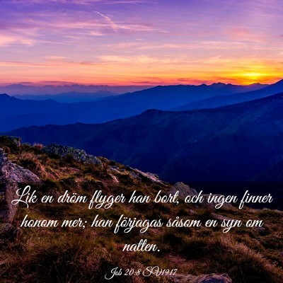 Picture 03 - Job 20:8 SV1917 - Lik en dröm flyger han bort, och ingen finner - Bible Verse Picture