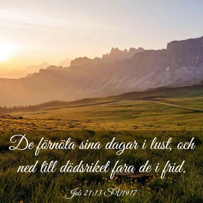 Picture 03 - Job 21:13 SV1917 - De förnöta sina dagar i lust, och ned till - Bible Verse Picture