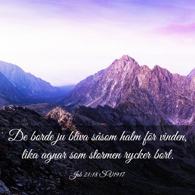 Picture 03 - Job 21:18 SV1917 - De borde ju bliva såsom halm för vinden, lika - Bible Verse Picture