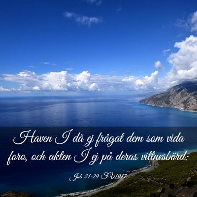Picture 03 - Job 21:29 SV1917 - Haven I då ej frågat dem som vida foro, och - Bible Verse Picture