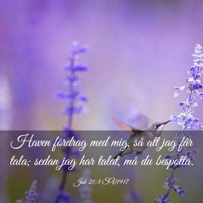 Picture 03 - Job 21:3 SV1917 - Haven fördrag med mig, så att jag får tala; - Bible Verse Picture