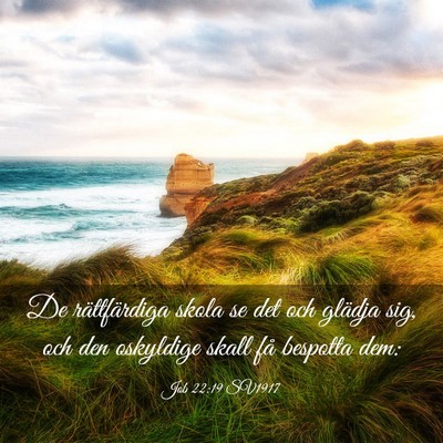 Picture 03 - Job 22:19 SV1917 - De rättfärdiga skola se det och glädja sig, - Bible Verse Picture