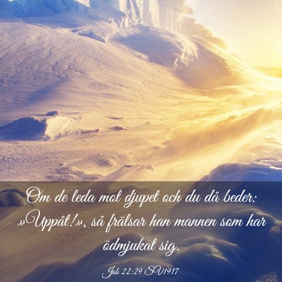 Picture 03 - Job 22:29 SV1917 - Om de leda mot djupet och du då beder: - Bible Verse Picture
