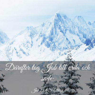 Picture 03 - Job 23:1 SV1917 - Därefter tog Job till orda och - Bible Verse Picture