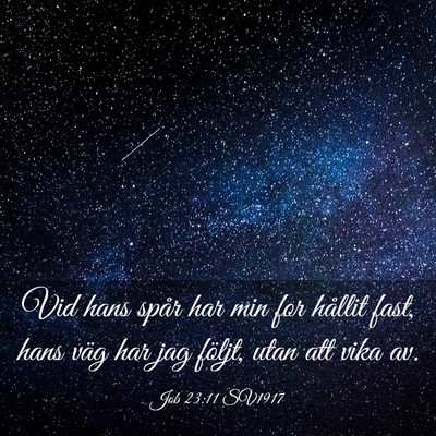 Picture 03 - Job 23:11 SV1917 - Vid hans spår har min for hållit fast, hans - Bible Verse Picture