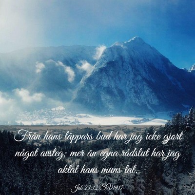 Picture 03 - Job 23:12 SV1917 - Från hans läppars bud har jag icke gjort något - Bible Verse Picture