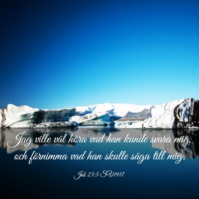 Picture 03 - Job 23:5 SV1917 - Jag ville väl höra vad han kunde svara mig, och - Bible Verse Picture