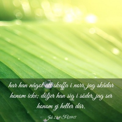 Picture 03 - Job 23:9 SV1917 - har han något att skaffa i norr, jag skådar - Bible Verse Picture