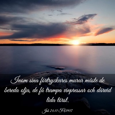 Picture 03 - Job 24:11 SV1917 - Inom sina förtryckares murar måste de bereda - Bible Verse Picture
