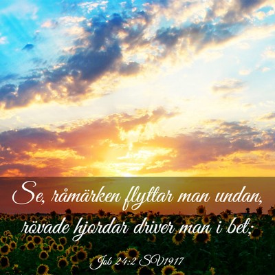 Picture 03 - Job 24:2 SV1917 - Se, råmärken flyttar man undan, rövade hjordar - Bible Verse Picture