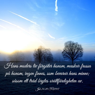 Picture 03 - Job 24:20 SV1917 - Hans moders liv förgäter honom, maskar frossa - Bible Verse Picture