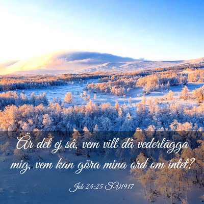 Picture 03 - Job 24:25 SV1917 - Är det ej så, vem vill då vederlägga mig, vem - Bible Verse Picture