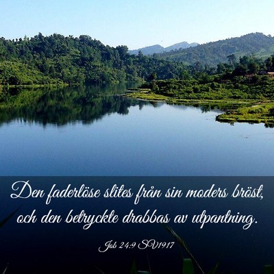 Picture 03 - Job 24:9 SV1917 - Den faderlöse slites från sin moders bröst, - Bible Verse Picture