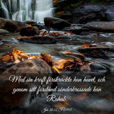 Picture 03 - Job 26:12 SV1917 - Med sin kraft förskräckte han havet, och genom - Bible Verse Picture