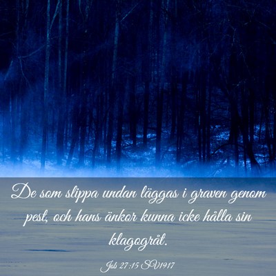 Picture 03 - Job 27:15 SV1917 - De som slippa undan läggas i graven genom pest, - Bible Verse Picture