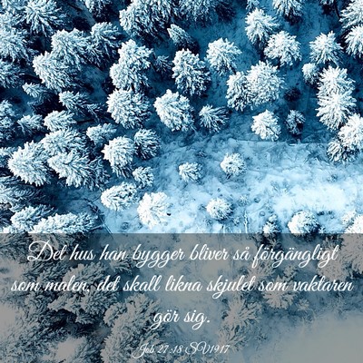 Picture 03 - Job 27:18 SV1917 - Det hus han bygger bliver så förgängligt som - Bible Verse Picture