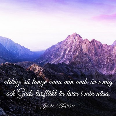 Picture 03 - Job 27:3 SV1917 - aldrig, så länge ännu min ande är i mig och - Bible Verse Picture