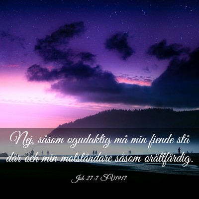Picture 03 - Job 27:7 SV1917 - Nej, såsom ogudaktig må min fiende stå där - Bible Verse Picture