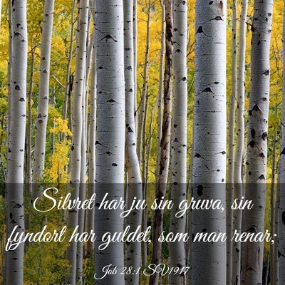 Picture 03 - Job 28:1 SV1917 - Silvret har ju sin gruva, sin fyndort har guldet, - Bible Verse Picture