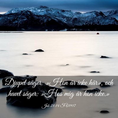 Picture 03 - Job 28:14 SV1917 - Djupet säger: »Hon är icke här», och havet - Bible Verse Picture