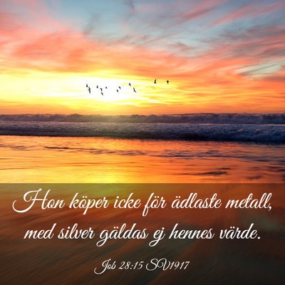 Picture 03 - Job 28:15 SV1917 - Hon köper icke för ädlaste metall, med silver - Bible Verse Picture
